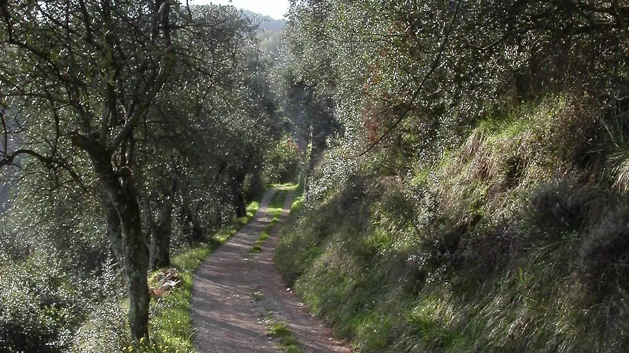 Villa Farfalla & Guesthouse - The World Unique Property With An Openable Roof Lucca